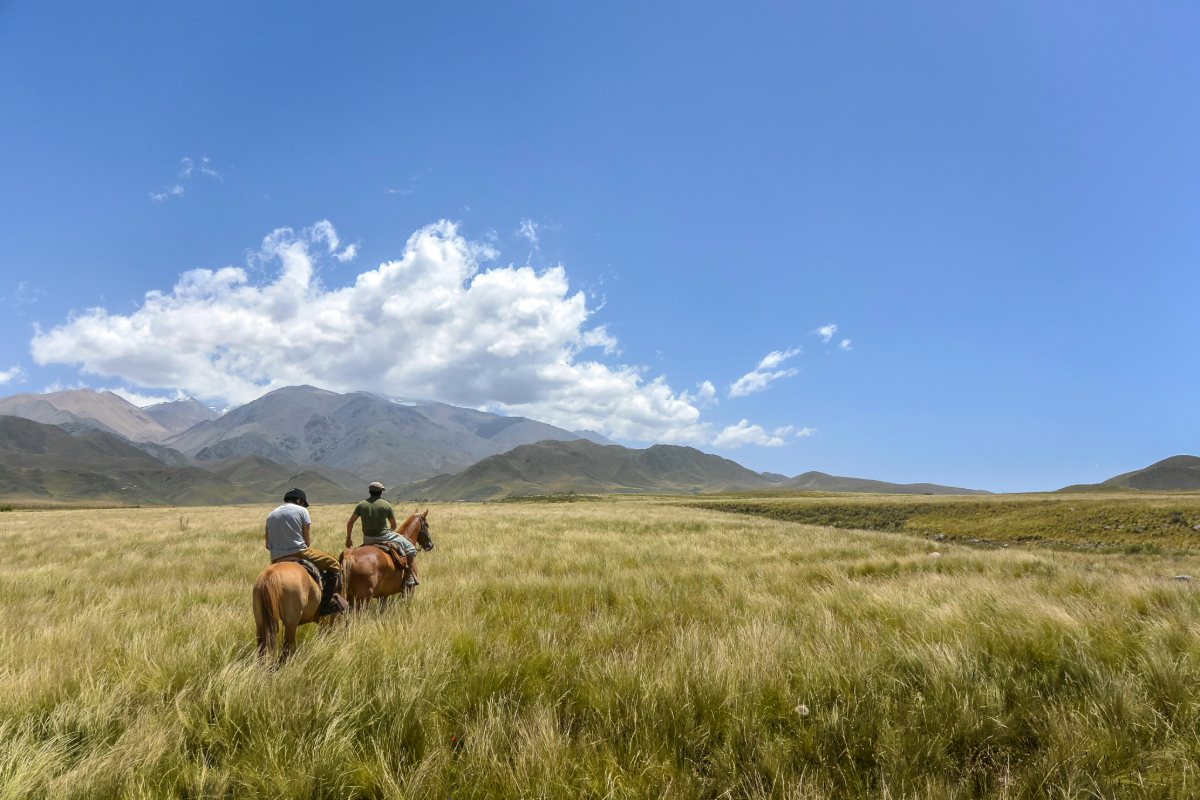 Argentina's growing collection of Geographical Indications (GIs)